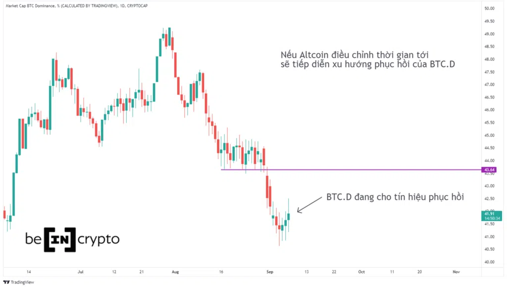 Bitcoin Dominance - tức tỷ trọng của BTC trong thị trường (đơn vị: phần trăm).