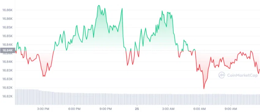 Hiệu suất giá Bitcoin theo CoinMarketcap