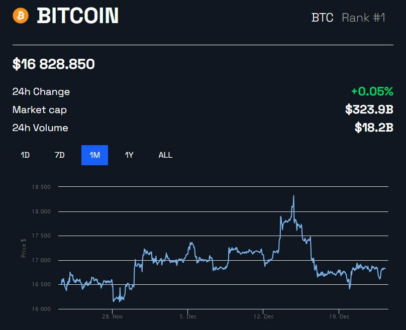 Biểu đồ giá BTC/USD 1 tháng – BeInCrypto, phân tích giá BTC trước Bitcoin Halving
