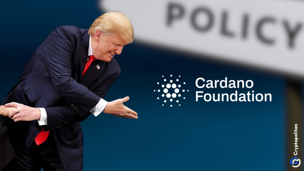 ADA tăng 30% sau tin đồn về sự hợp tác giữa người sáng lập Cardano và Trump.